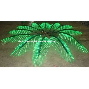 lighted palm trees