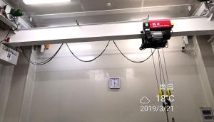 Wholesale 1000KG Capacity Pharma Clean Room Cranes IP54 Protection Grade from china suppliers