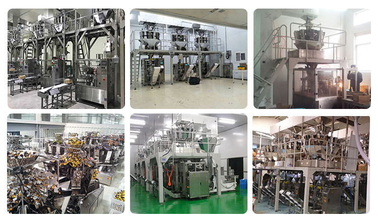 Rotary Premade Bag Biltong Packing Machine With Zipper 50 Bags/Min