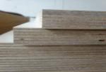 Eucalyptus Commercial Grade Plywood With Okoume Faced Standard Size