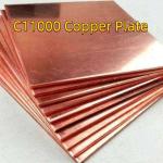 Pure Copper Plate 99.95% Tu2 20*1000*2000mm Red Electrolytic Tough Pitch ETP