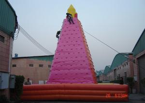 Wholesale Large Adult Inflatable Games , Wonderful Outdoor inflatable Rock Wall from china suppliers