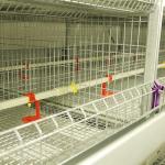 Fire Resistant Chicken Steel Cage , 198 Birds Chick Cage With Heat Lamp