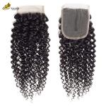ODM Raw Cambodian Bundles Brazilian Kinky Curly Virgin Hair weft