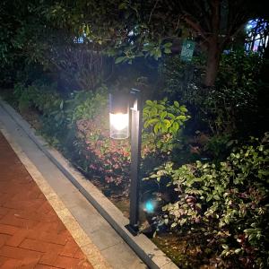 Wholesale Black Aluminum Outdoor Solar Post Lights Traditional With 2 Modes from china suppliers