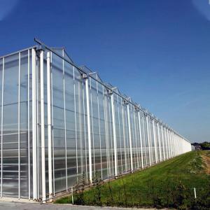 Wholesale Agriculture Plants Growing Multi Span Venlo Glass Greenhouse With Cooling Pad from china suppliers