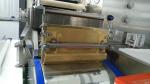 PLC 316ss Canabis Oil Soft Gel Capsule Machine