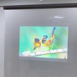 Daylight transparent holographic film , Adhesive Mirror Film For Shopping Malls