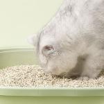 Low Dust Tofu Cat Litter Bulk 1.5mm 1.8mm 2.0mm Tofu Cat Litter
