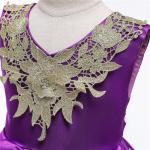 V-Neck Flower Girl Dress Champagne Lace Princess Dress Vestidos De Ropa Niña