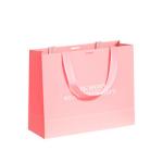 Food Grade Paper Kraft Christmas Gift Bags 230gsm 250gsm Ribbon Handle