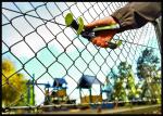 50mm x 50mm hurricane Fence Supplier ,Hot Dipped Galvanized ,Hurricane Chain