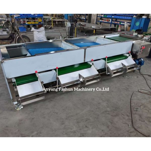 Olive sorting machine, olive grading machine, olive classification machine