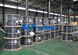 Wholesale Multi - Core Stainless Steel Coiled Tubing ASTM A213 S30400 / S30403 Bright Annealed from china suppliers