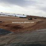 HDPE Geomembrane 300 Roll Water Tanks Farm Pond Plastic Liner for Dam Width 2m