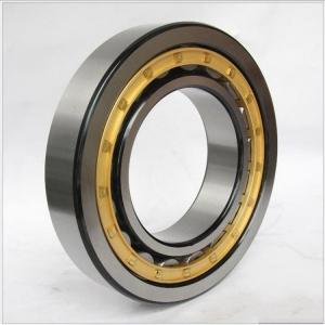 Wholesale SL045028PP bearings /ROLAMENTO SL045028PP / SL045028PP cylindrical roller bearings from china suppliers