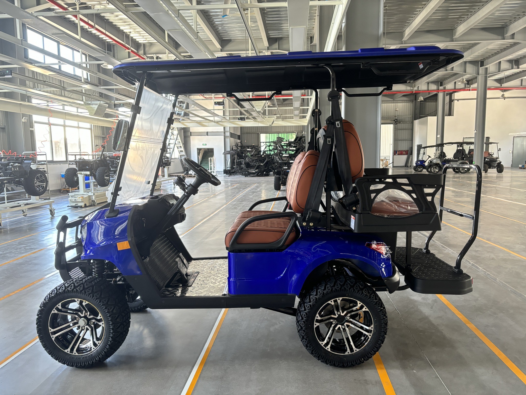 Electric Golf Cart 2+2 Passenger Lead Batteries Powered Four Wheeler Hunting Cars