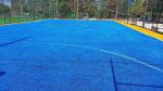 50mm Field Artificial Soccer Turf Football Grass Carpet