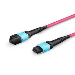 MPO /MTP Om4 50/125 8-Core Multimode Fiber Optic Cable LSZH Fiber Optic Patch