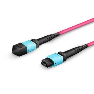 Wholesale MPO /MTP Om4 50/125 8-Core Multimode Fiber Optic Cable LSZH Fiber Optic Patch Cord / Jumper from china suppliers