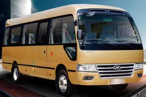 Wholesale Medical Diesel Cancer Screening Bus Multipurpose For Patient Monitoring from china suppliers