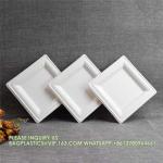 Eco-Friendly Wholesale Bio Disposable Sugarcane Food Container Snack Cookie