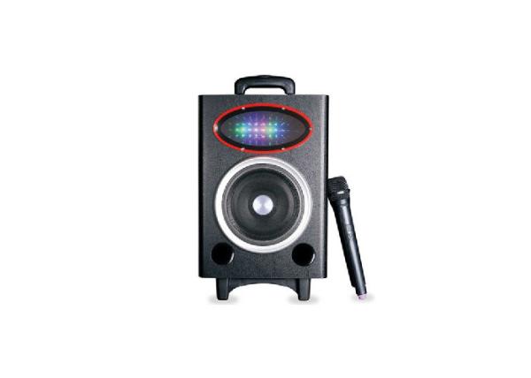 Wedding Events Outdoor Waterproof Speakers , Audio Player Speaker With Wireless