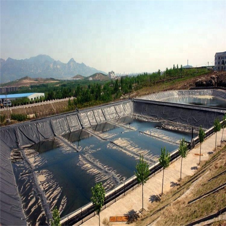 High Density Polyethylene HDPE LDPE Geomembrane for Dam Liner Fish Farm Pond Liners