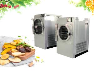 Wholesale Light Weight Mini Freeze Dryer Machine For Fruits Vegetables from china suppliers