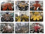 Automatic Cashew Nut Candy Chips 10 / 14 Heads Weigher For Snack Food