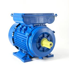 Wholesale Single Phase AC Induction Motor YL802-4 - 750W 1400RPM 220V 50Hz from china suppliers