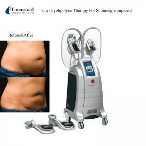Wholesale 4D Body Slimming Machine Freezing Fat 360 Surround Cooling 4 Handles Cryolipolysis from china suppliers