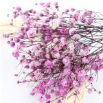 Multicolor Beautiful Dried Flowers Baby'S Breath Wedding Table Decorations