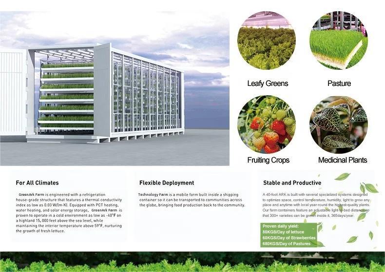 Container Farm Strawberry Capacity Hydroponic Systems Vertical Plant Factories