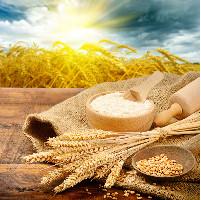 Wholesale XX Flour Mesh - PET-XX Series Flour Mesh from china suppliers