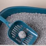 Deodorizing Activated Carbon Cat Litter Grey Biodegradable Tofu Cat Litter
