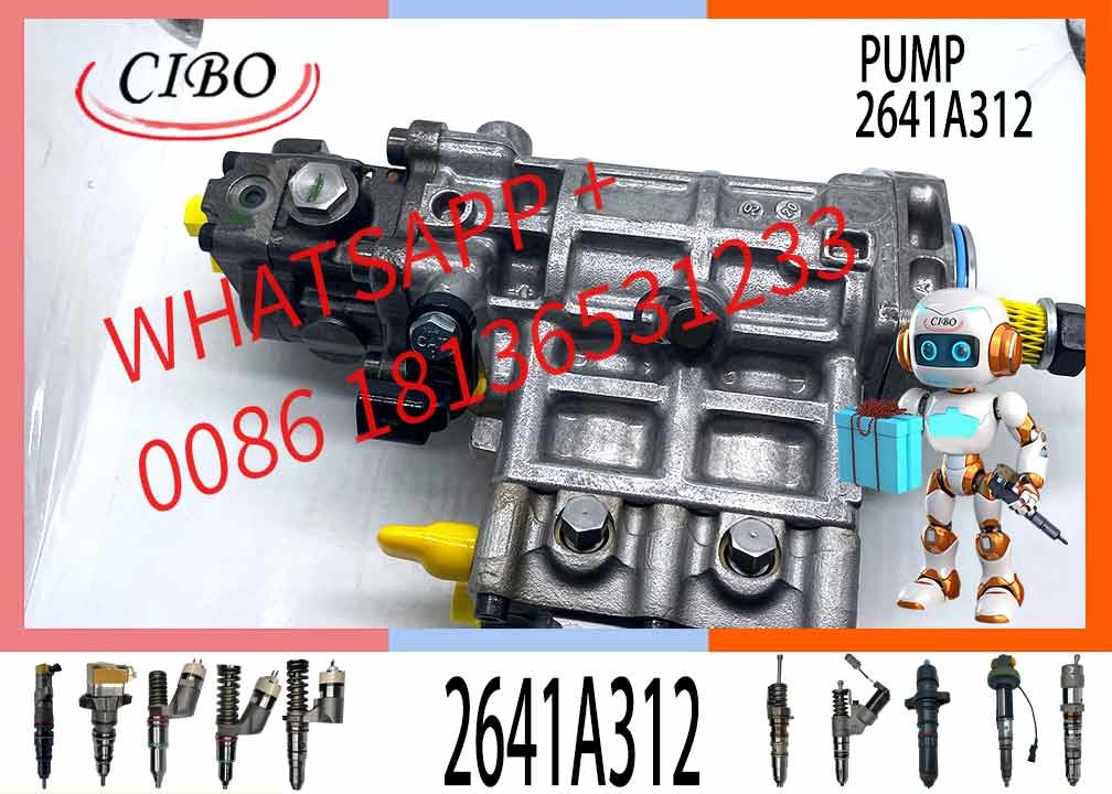 2641A312 2768398 276-8398 317-8021 3178021 FUEL INJECTION PUMP E323D E320D
