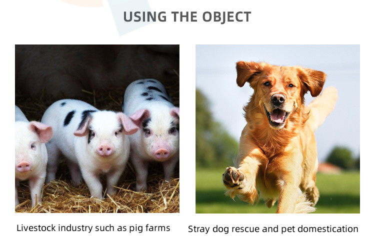 Non Slip Handle Creature Catching Dog Holder For Secure Catching And Holding