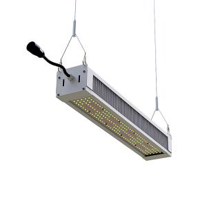 Wholesale 300W Commercial LED Flood Lights from china suppliers