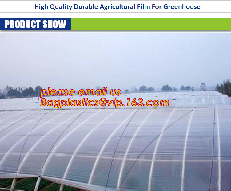 cheap and durable plastic colored anti mosquito netting/window insect screen,Industrial Agricultural Greenhouses use 2m