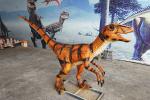 Antisun Realistic Animatronic Dinosaur Silicone Rubber Velociraptor Life Size