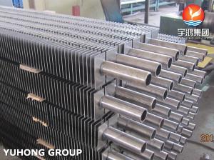 Wholesale ASME SA312 TP316 Seamless Steel Square Fin Tube For Boiler , Heat Exchanger from china suppliers