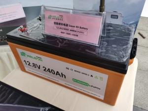 Wholesale WelsonPower House Rechargeable Lifepo4 Battery 300ah 12 Volt Battery Deep Cycle Rv Lithium Caravan from china suppliers