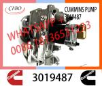 Genuine Diesel Fuel Injection Pump 2048809 3019487 3059657 For Cummins NT855