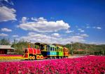 Colorful Electric Trackless Train Kids Party Train ISO9001 3.4 * 1.2 * 2.1 M