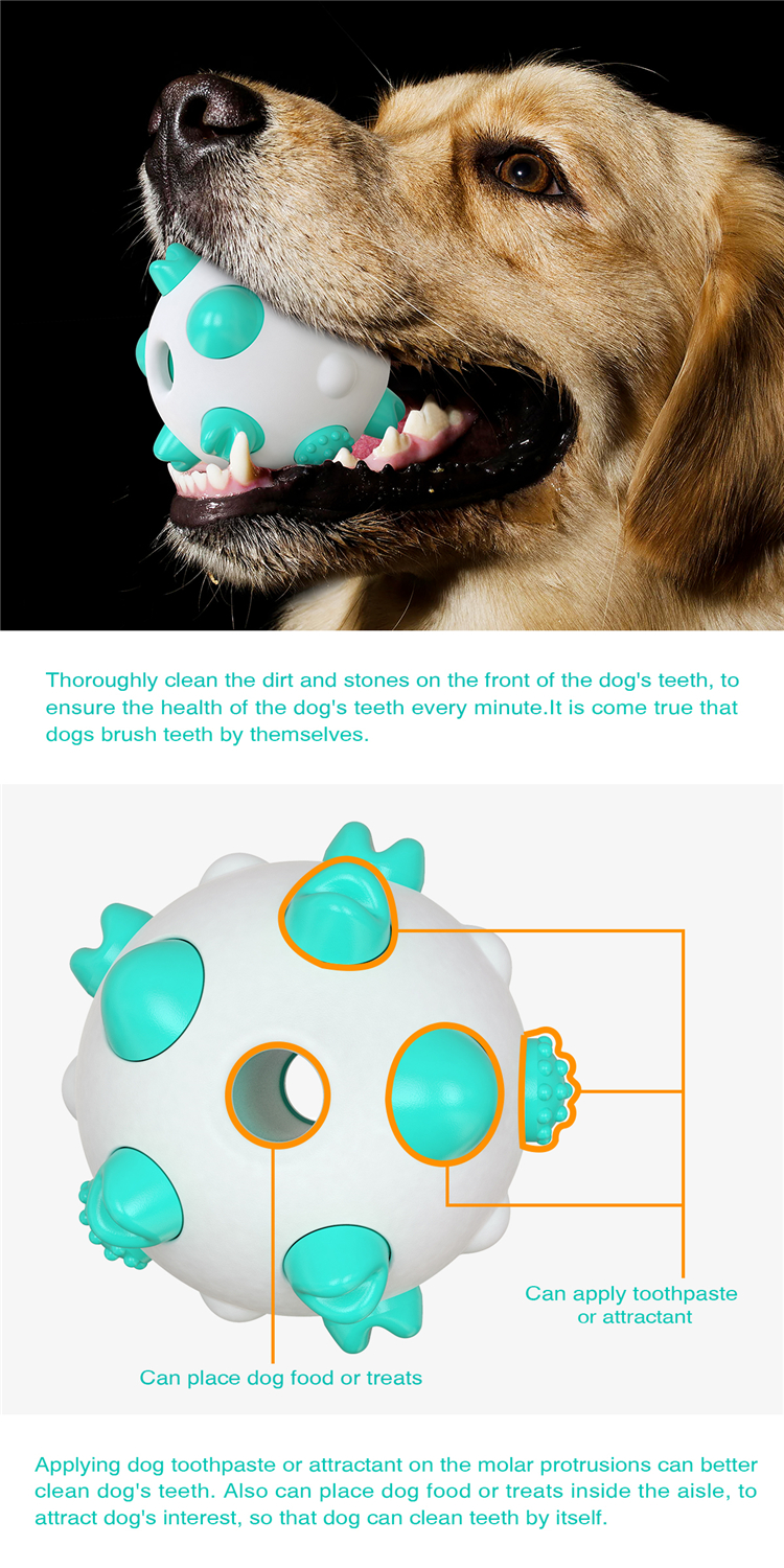 2021 Durable Interactive Dog Puzzle Toothbrush Toy Bite Resistant Ball Pet Chew Toys