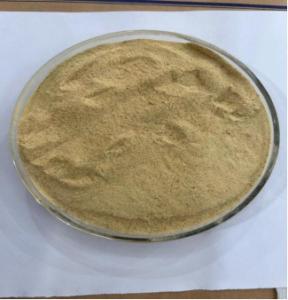 Wholesale Protein Content 45% Feed Grade Inactive Brewer Yeast Powder Promote Nutrition from china suppliers