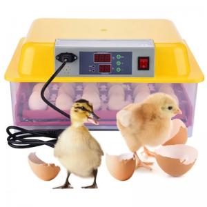 Wholesale Equipped 24 Mini Turntable Automatic Incubators For Chicken And Bird Egg Care from china suppliers