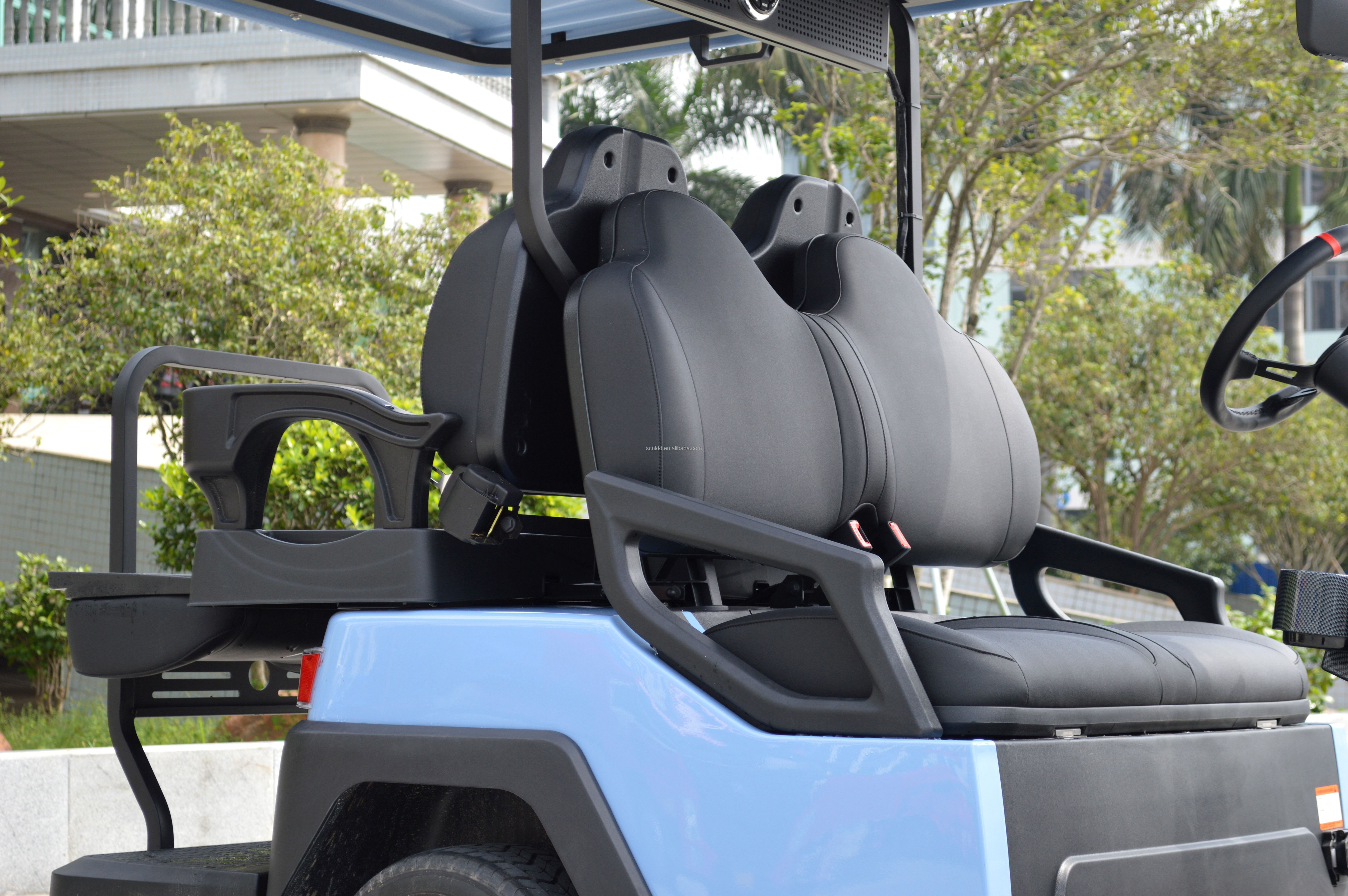 2 4 6 Seat Electric Lithium Battery Sightseeing Golf Cart Golf Buggy Car with DOT Comfortable and Spacious