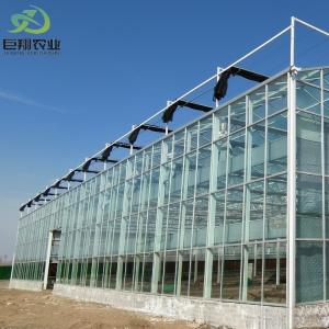 Wholesale US 40/Piece Agriculture Greenhouse Construction Polycarbonate Sheet Covered for Tomatoes from china suppliers